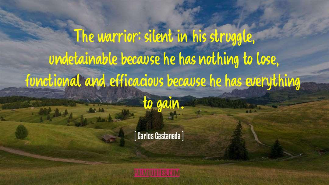 The Silent Woman quotes by Carlos Castaneda
