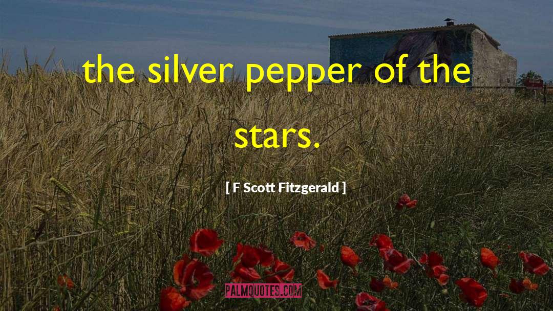 The Silver Chair quotes by F Scott Fitzgerald