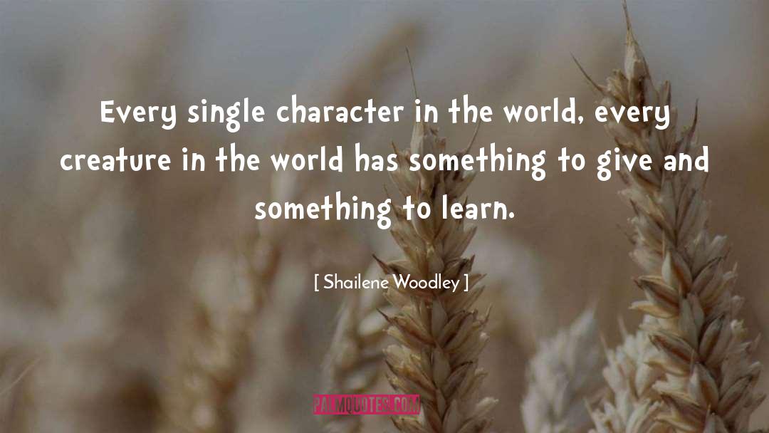 The Single Woman quotes by Shailene Woodley