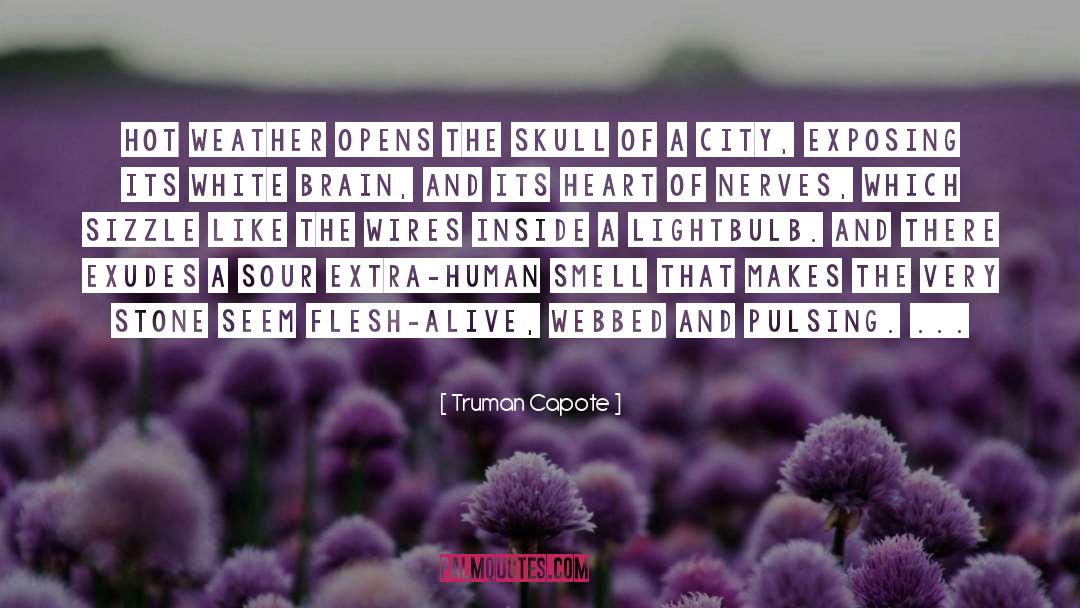 The Skull quotes by Truman Capote