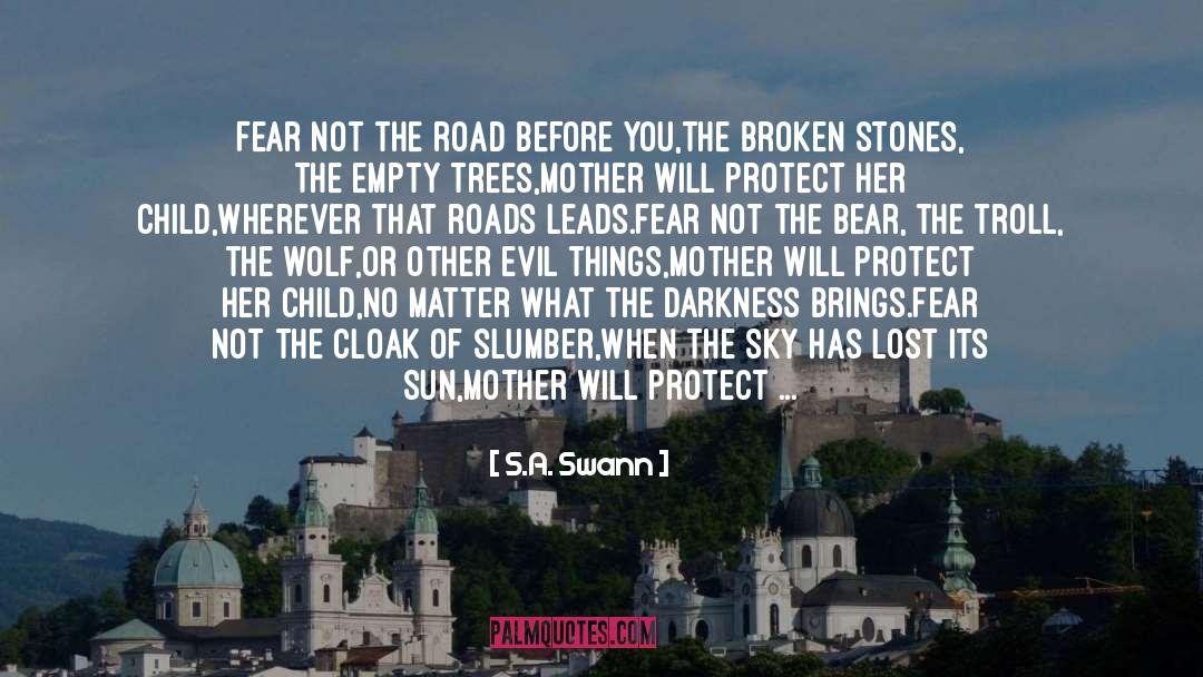 The Sky S The Limit quotes by S.A. Swann