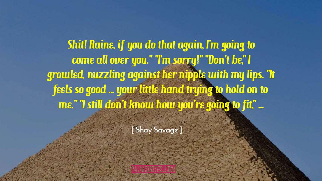 The Slide quotes by Shay Savage