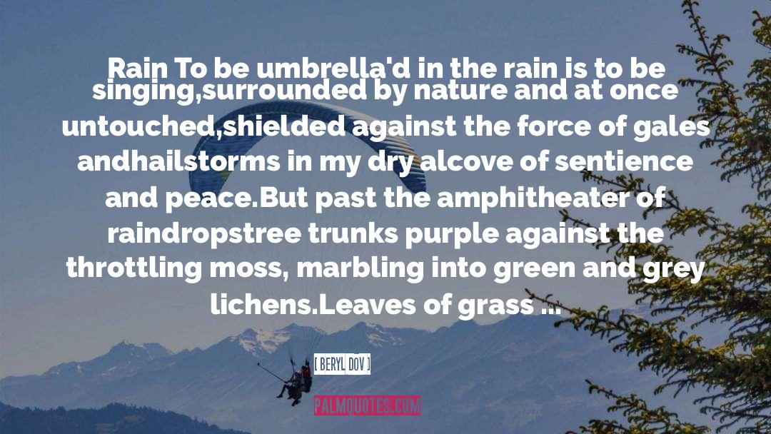 The Smell Of The Rain quotes by Beryl Dov