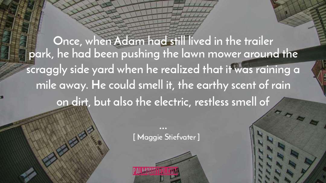 The Smell Of The Rain quotes by Maggie Stiefvater