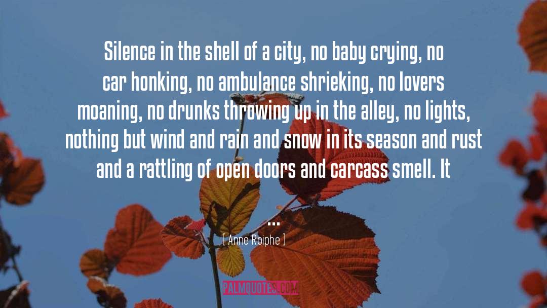 The Smell Of The Rain quotes by Anne Roiphe
