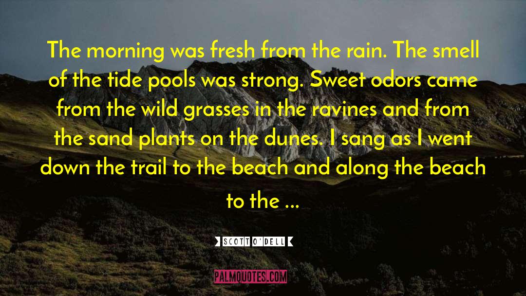 The Smell Of The Rain quotes by Scott O'Dell