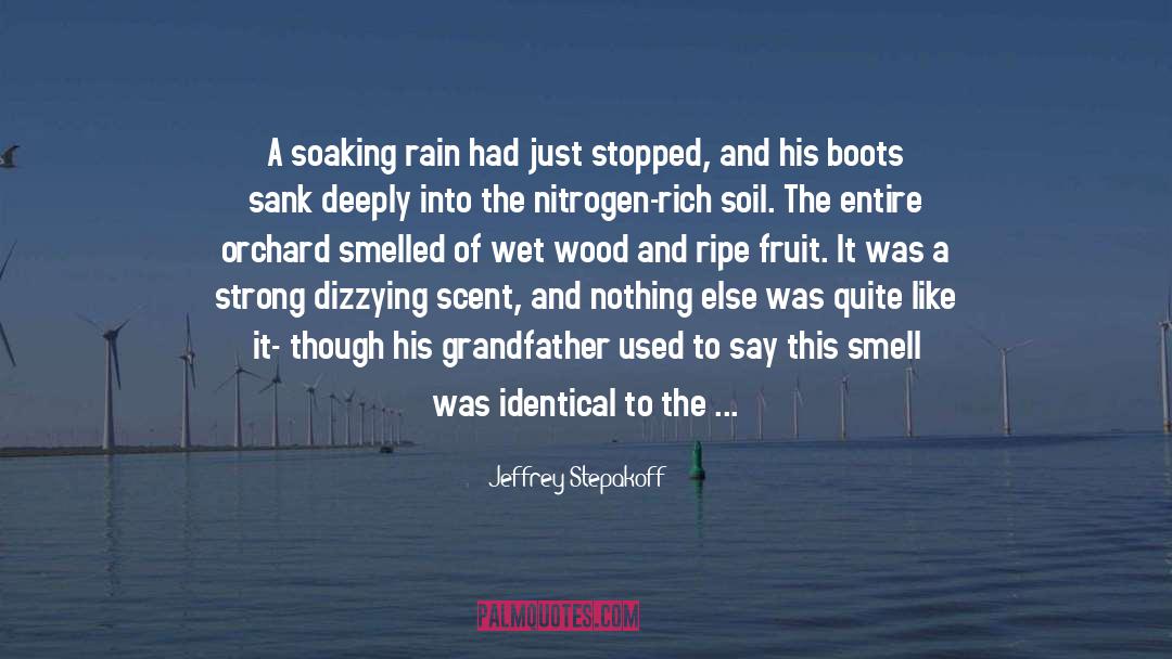 The Smell Of The Rain quotes by Jeffrey Stepakoff