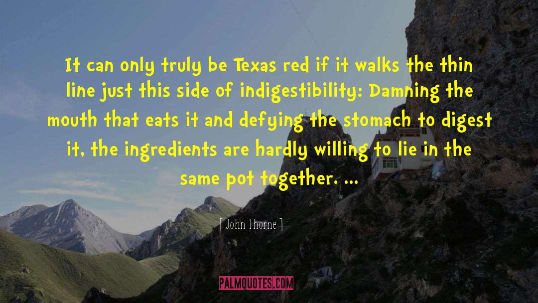The Softer Side Of Texas quotes by John Thorne
