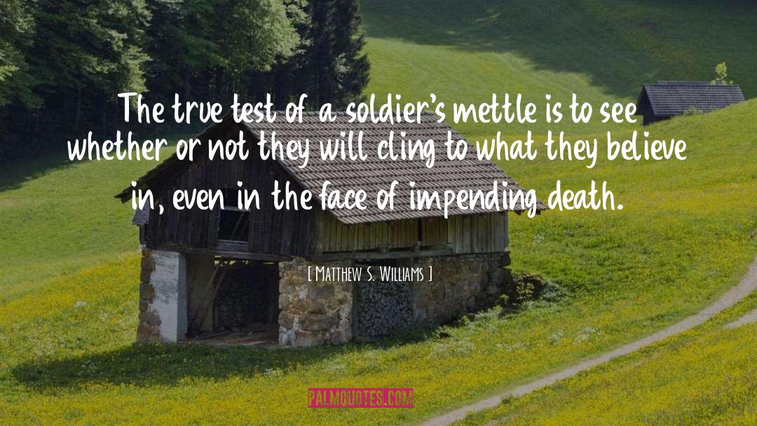 The Soldier S Cross quotes by Matthew S. Williams