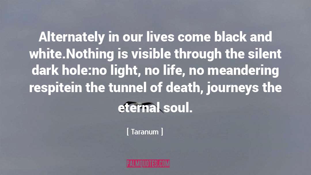 The Soul Of Time quotes by Taranum