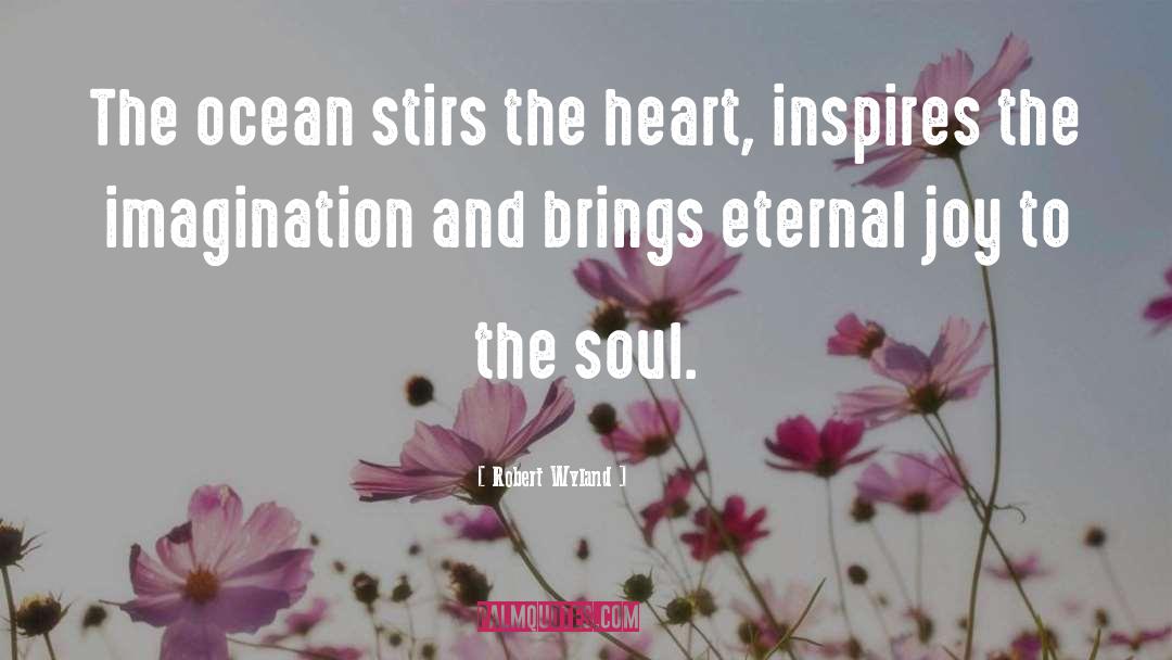 The Soul quotes by Robert Wyland