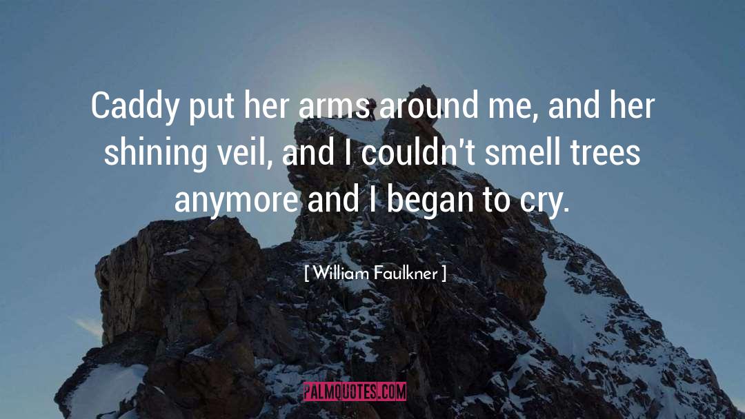 The Sound And The Fury quotes by William Faulkner