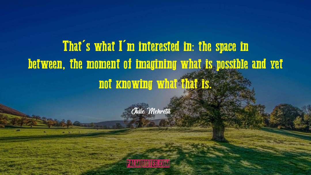 The Space In Between quotes by Julie Mehretu