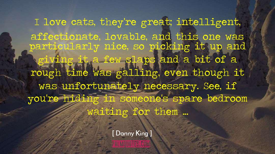 The Spare quotes by Danny King