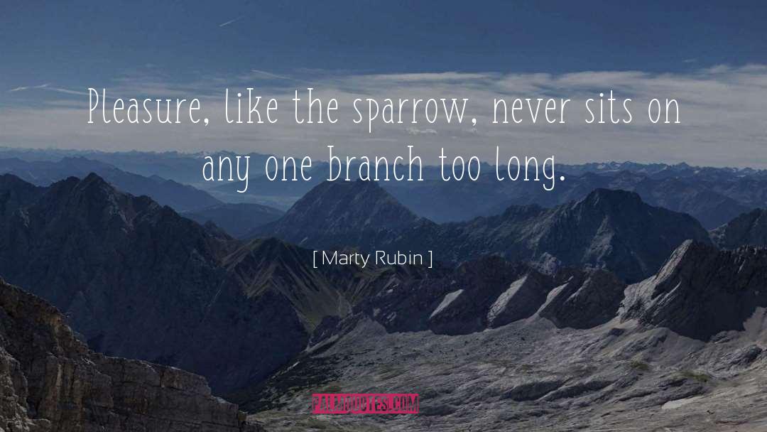 The Sparrow quotes by Marty Rubin