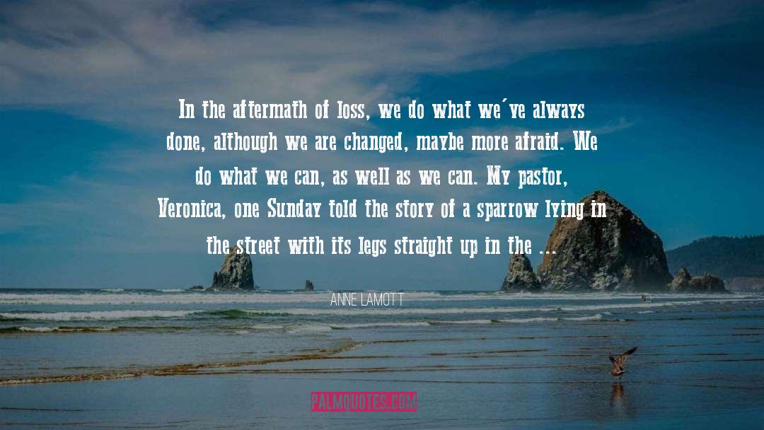 The Sparrow quotes by Anne Lamott