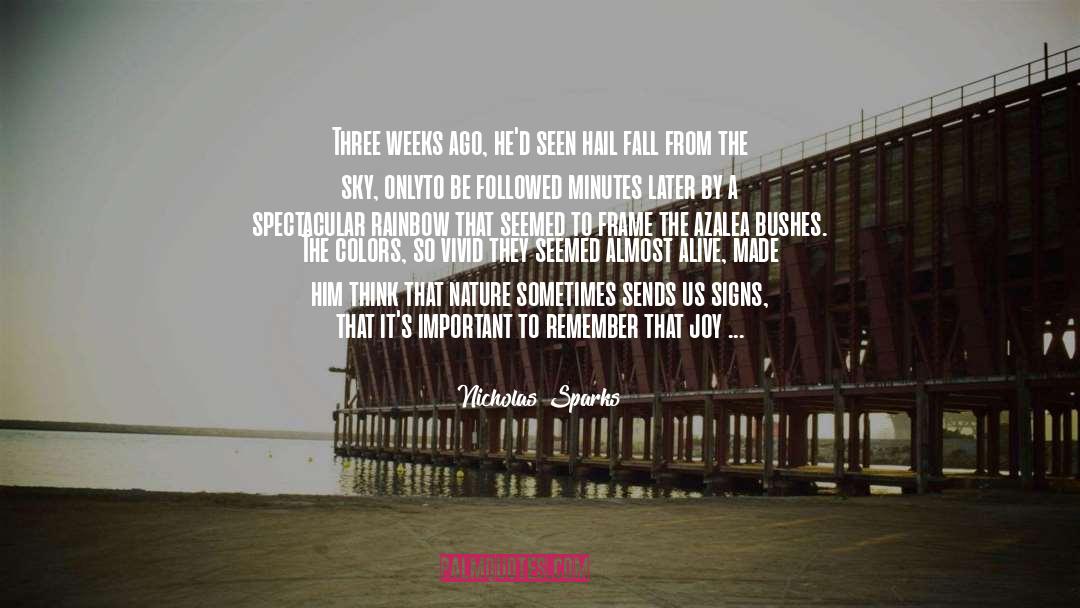 The Spectacular Now quotes by Nicholas Sparks