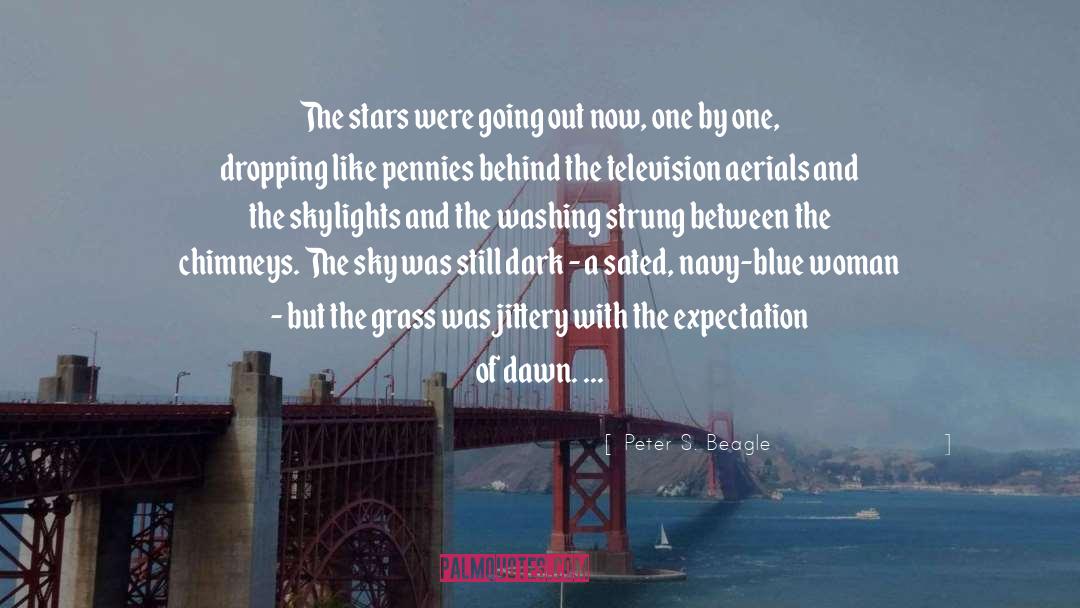 The Stars quotes by Peter S. Beagle