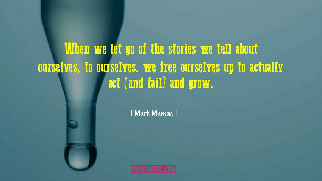 The Stories We Tell quotes by Mark Manson