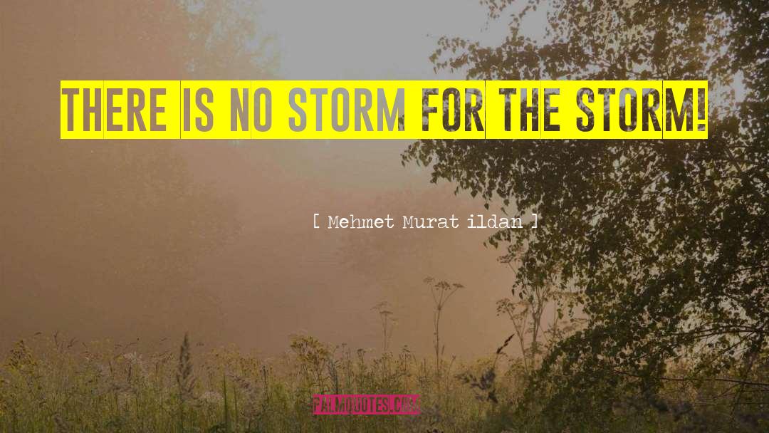 The Storm Clearing quotes by Mehmet Murat Ildan
