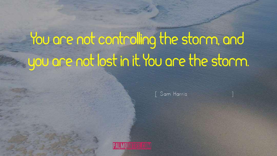 The Storm Clearing quotes by Sam Harris