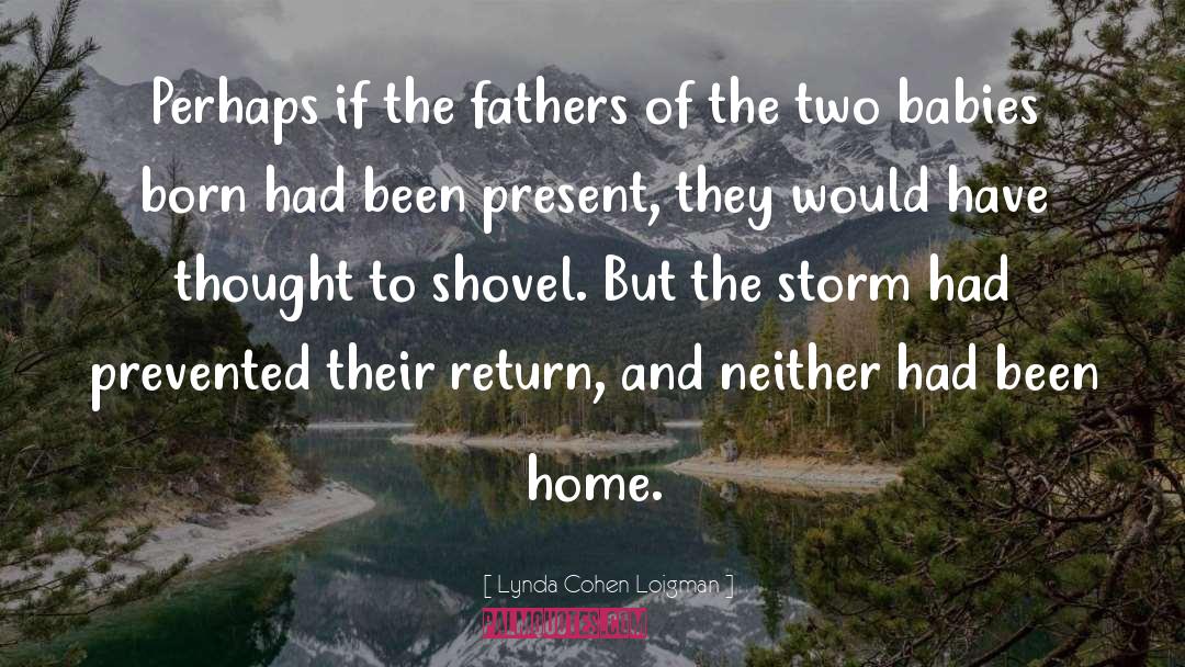 The Storm quotes by Lynda Cohen Loigman