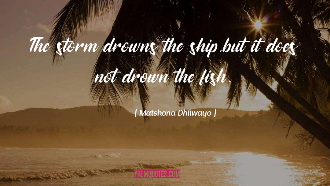 The Storm quotes by Matshona Dhliwayo