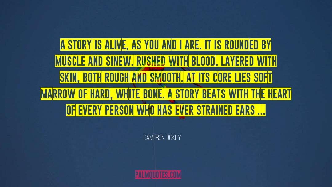 The Storyteller quotes by Cameron Dokey