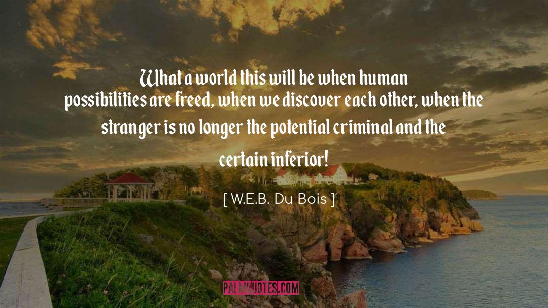 The Stranger quotes by W.E.B. Du Bois