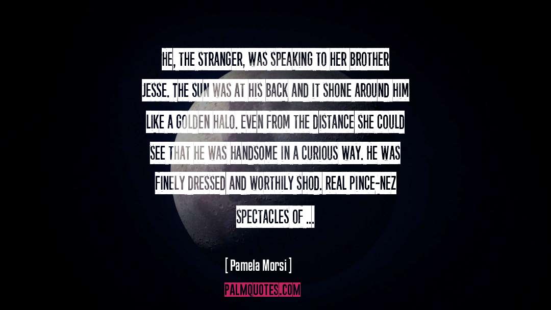 The Stranger quotes by Pamela Morsi