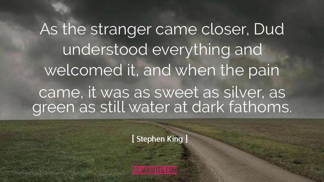 The Stranger quotes by Stephen King