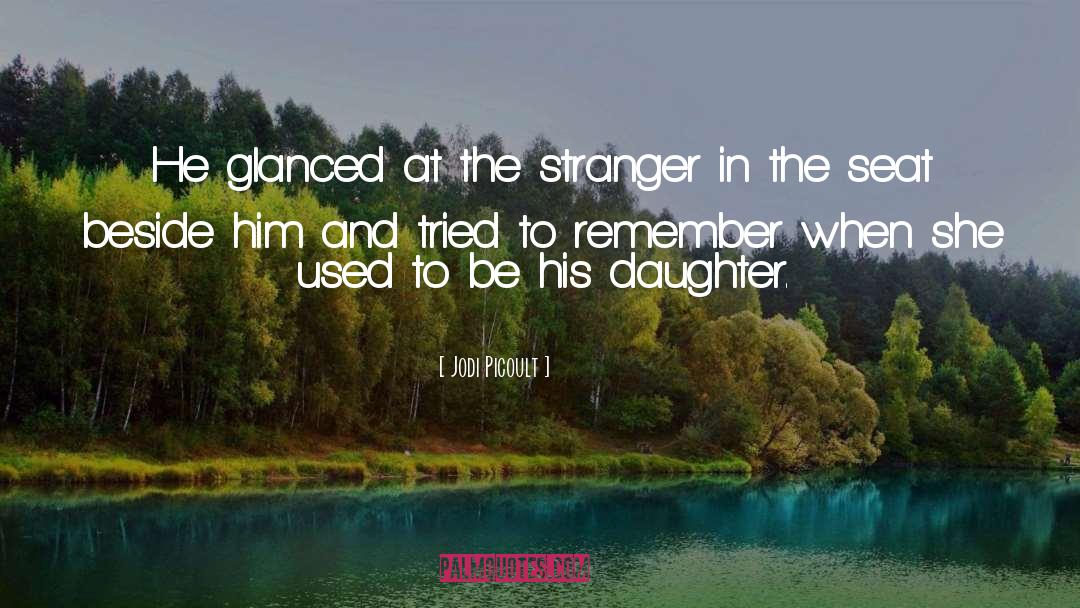 The Stranger quotes by Jodi Picoult