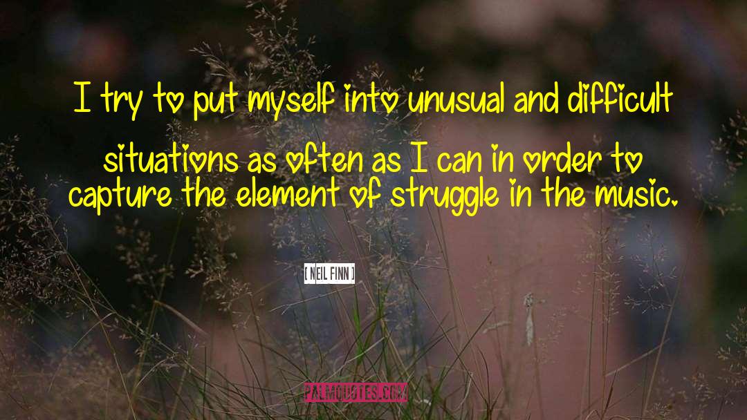 The Struggle Life quotes by Neil Finn