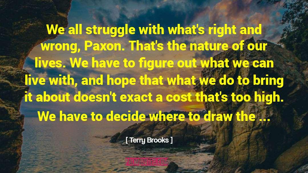 The Struggle Life quotes by Terry Brooks