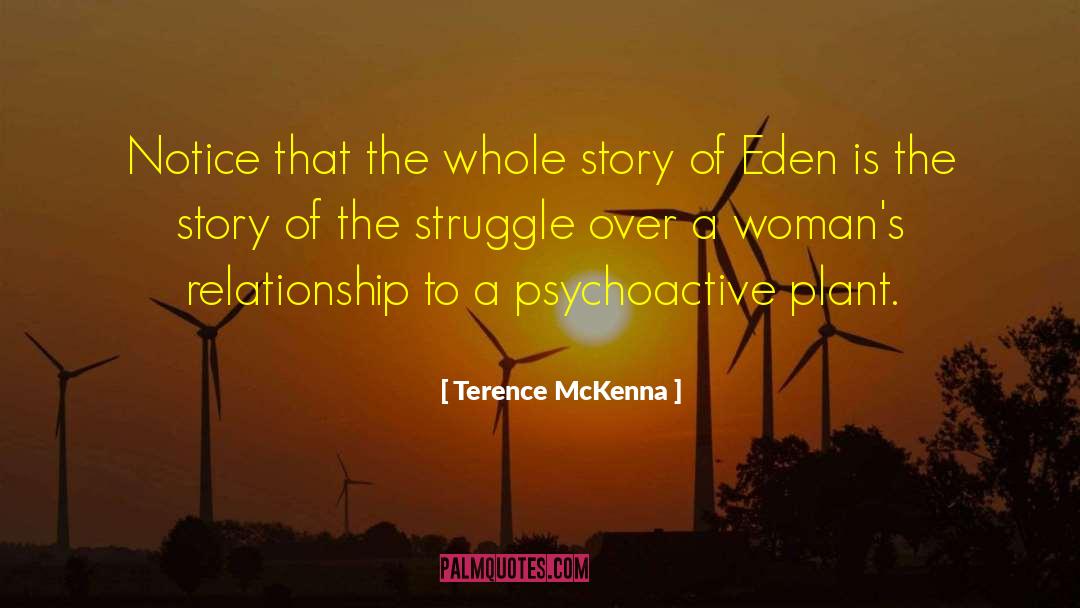 The Struggle quotes by Terence McKenna