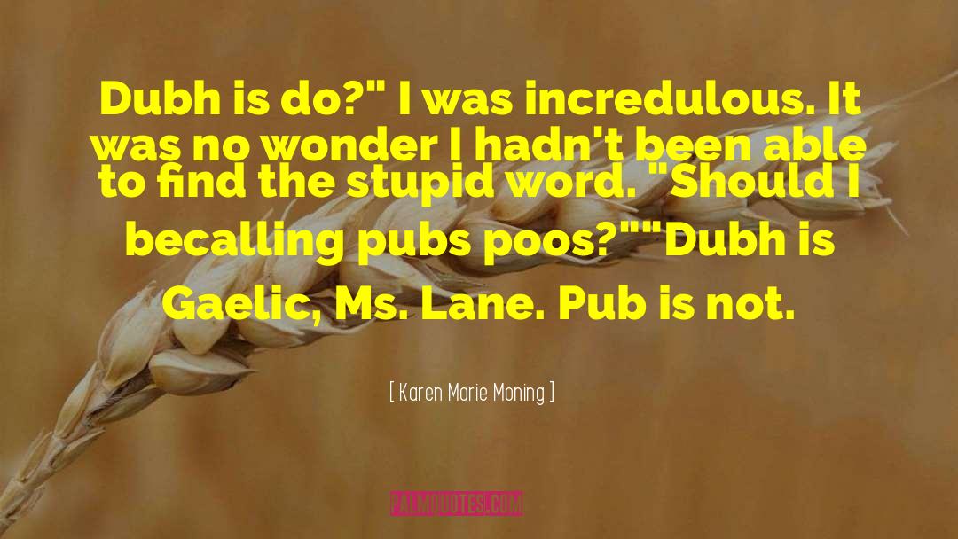 The Stupid quotes by Karen Marie Moning