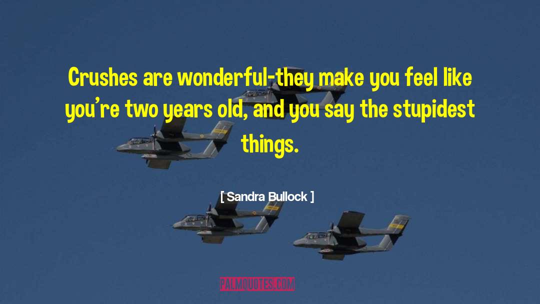 The Stupidest Angel quotes by Sandra Bullock