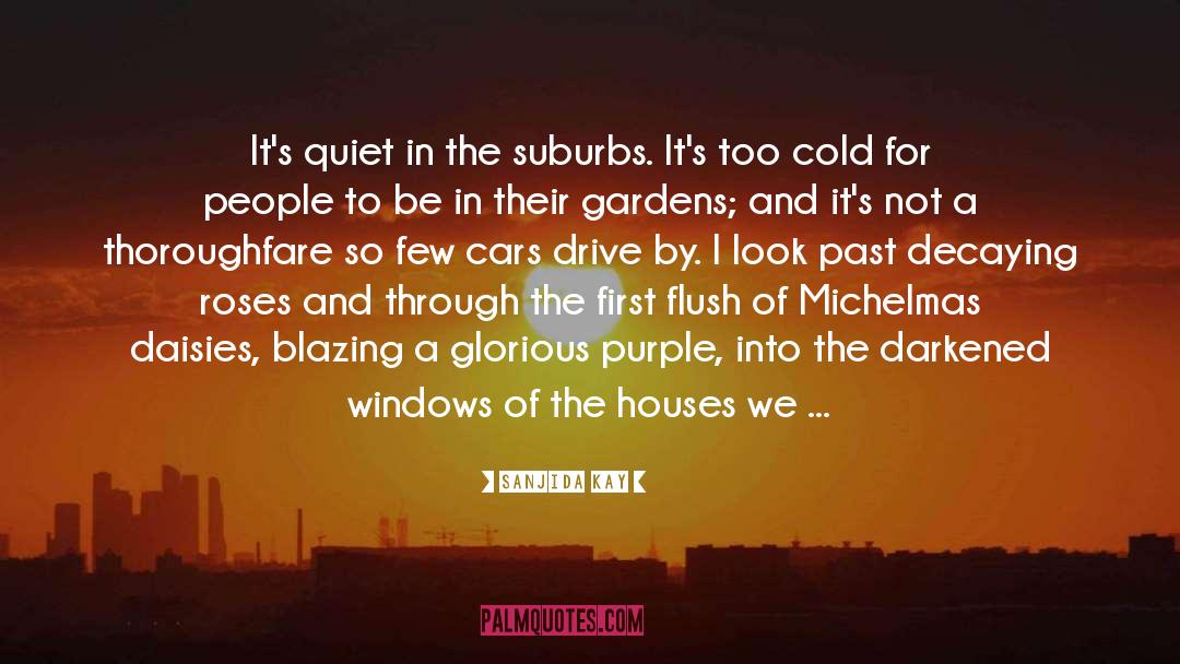 The Suburbs quotes by Sanjida Kay