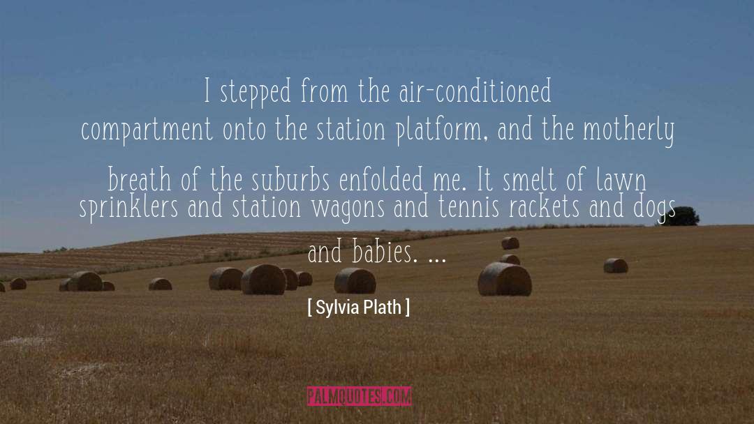The Suburbs quotes by Sylvia Plath