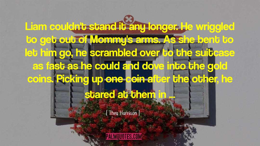 The Suitcase quotes by Thea Harrison