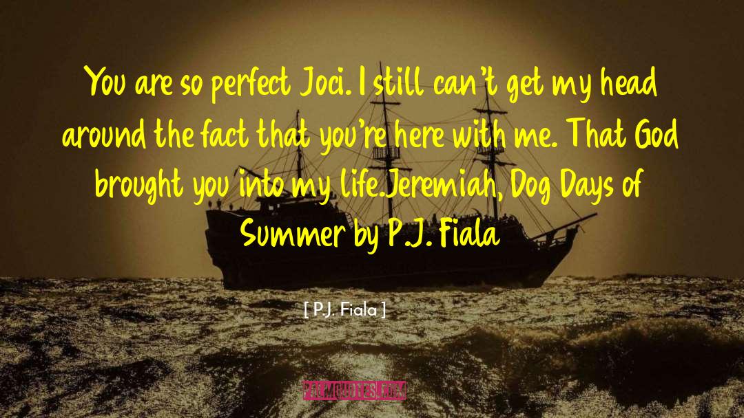 The Summer Set quotes by P.J. Fiala
