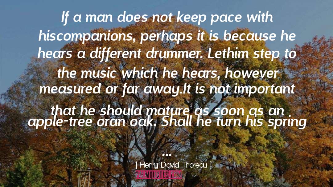 The Summer Set quotes by Henry David Thoreau