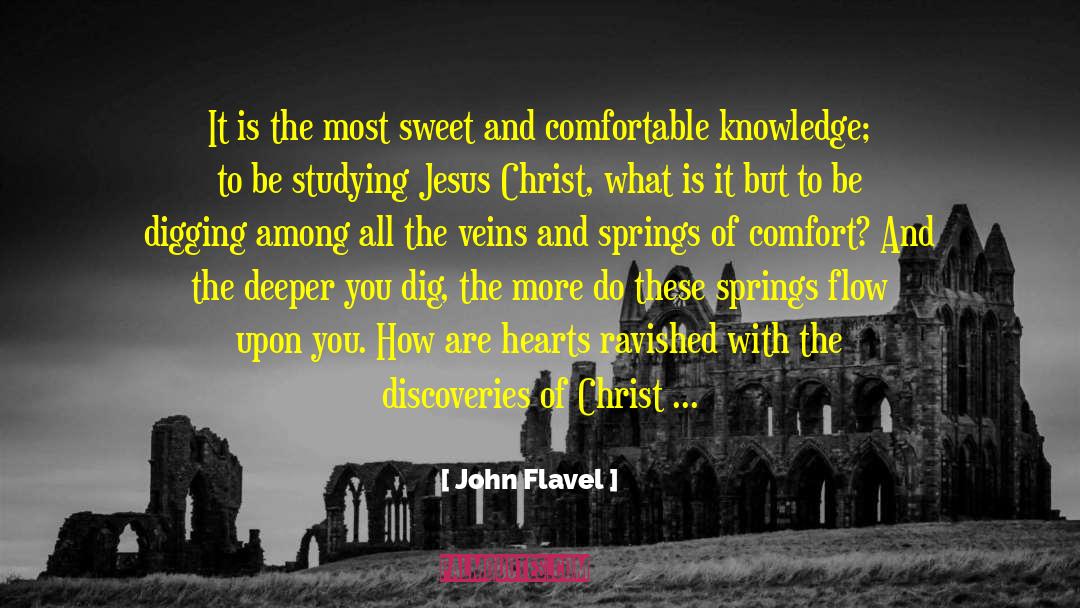 The Sweet Far Thing quotes by John Flavel
