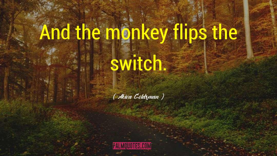 The Switch quotes by Akiva Goldsman