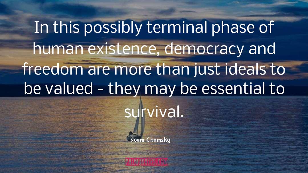 The Terminal quotes by Noam Chomsky