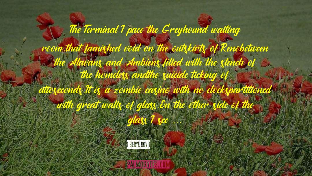 The Terminal quotes by Beryl Dov