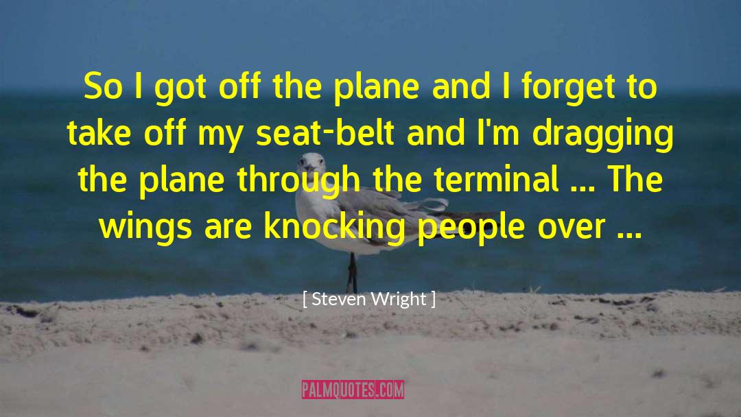 The Terminal quotes by Steven Wright