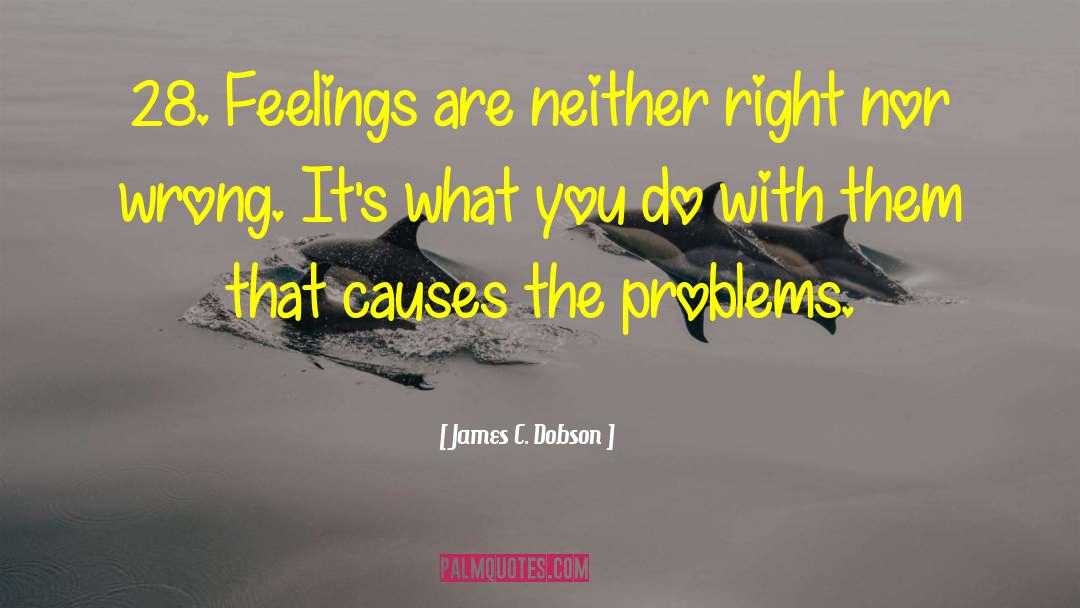 The Them quotes by James C. Dobson