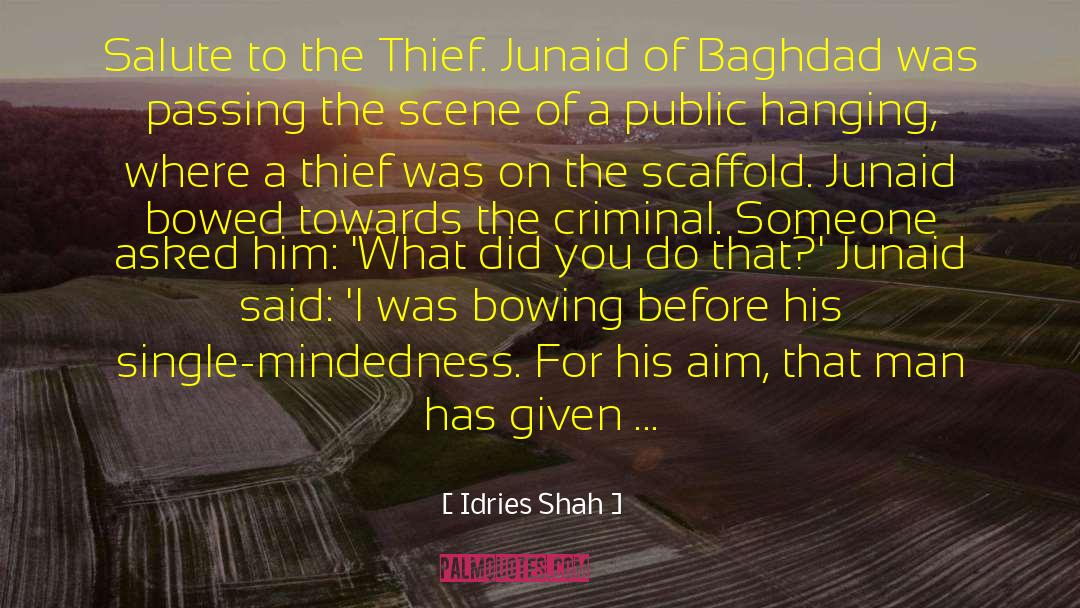 The Thief quotes by Idries Shah