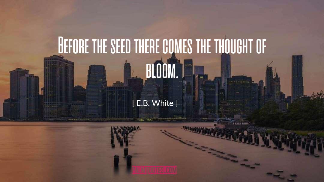The Thought Life quotes by E.B. White